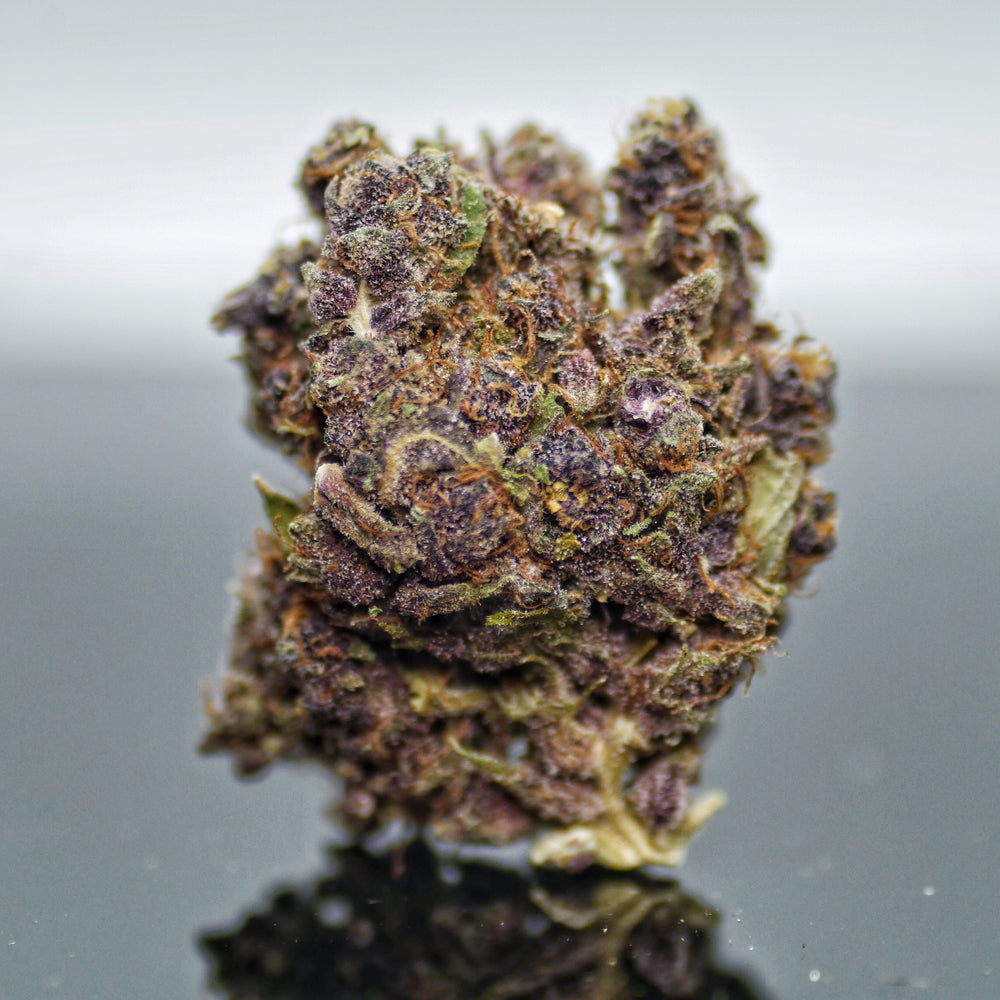 Purple Platinium 20%